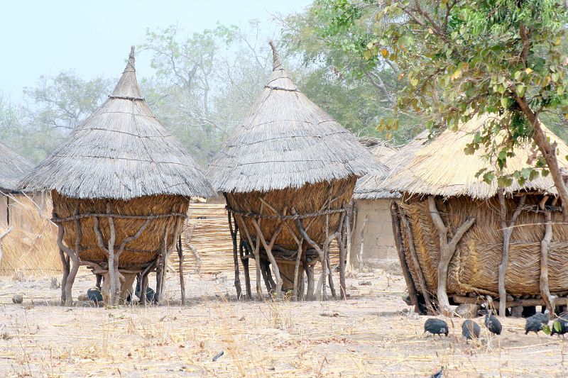 Article : Le grenier familial